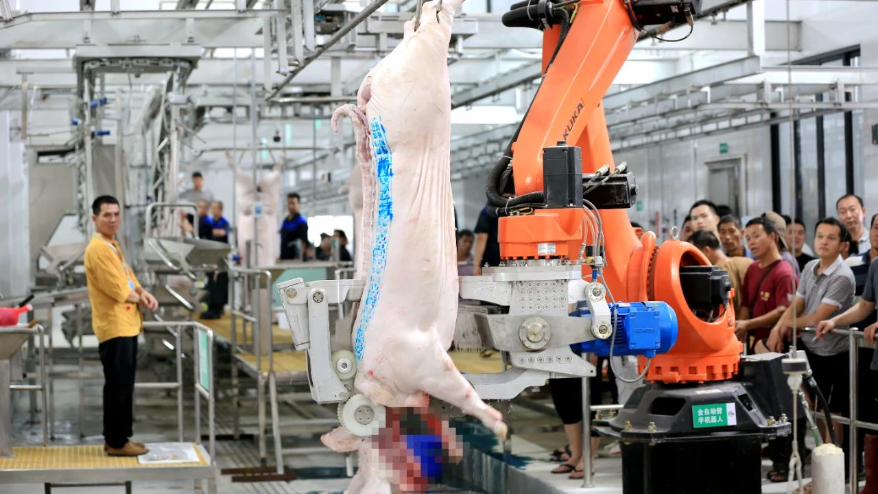 0770c7e7f4dd3e8611dc2003d7495b7f.jpg 0770c7e7f4dd3e8611dc2003d7495b7f.jpg